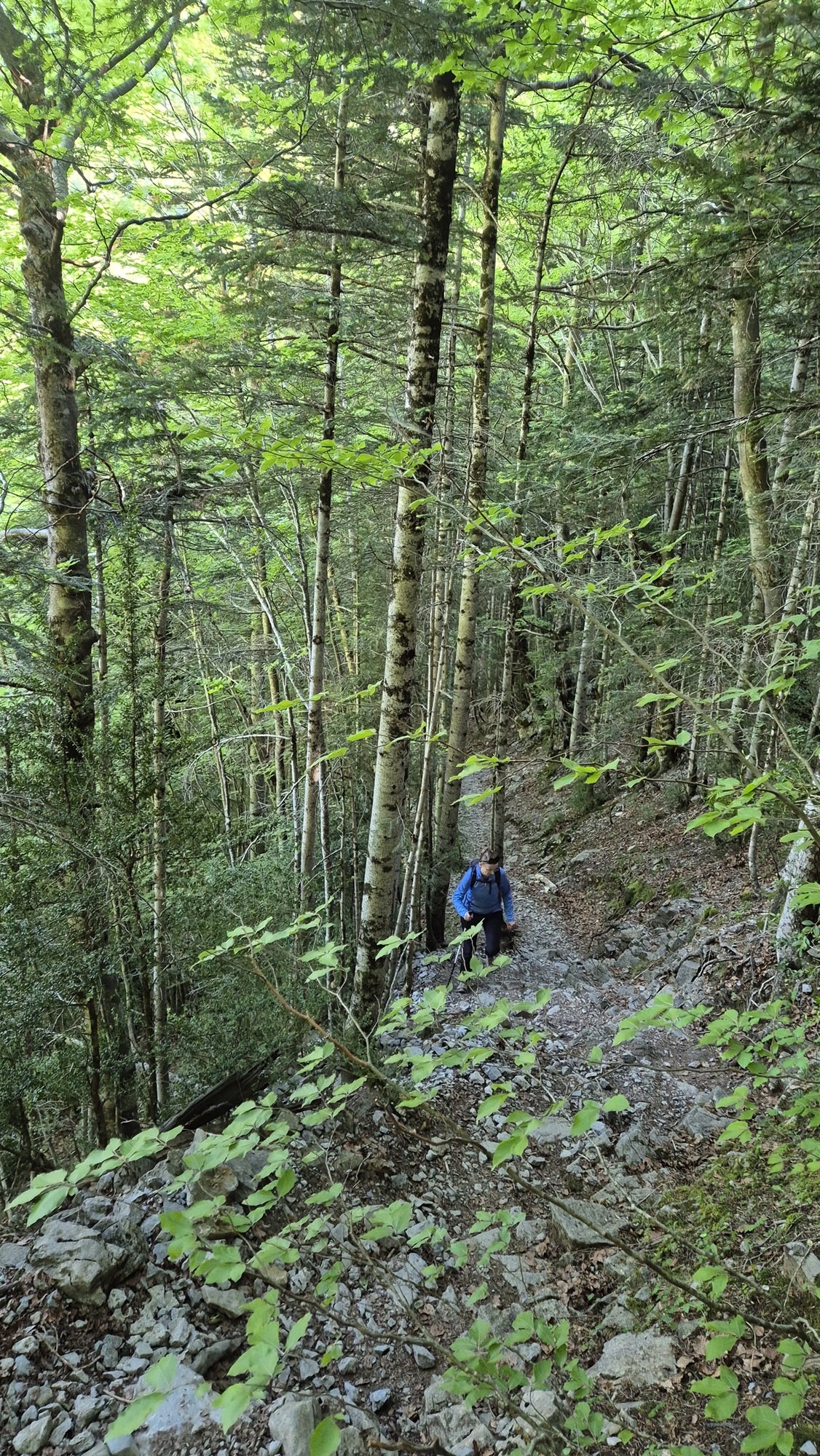 Cola de Caballo hike