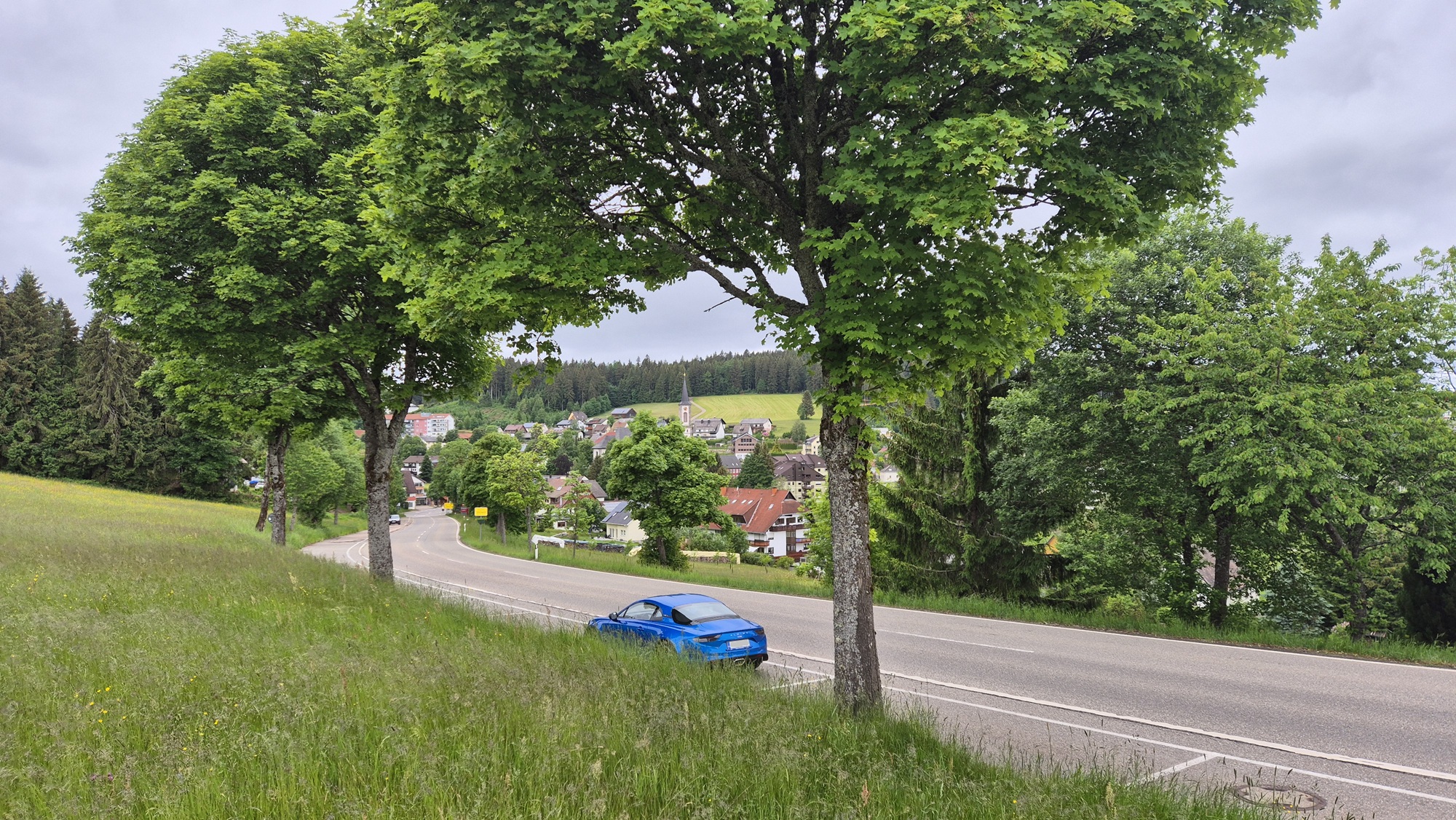 Schönwald im Schwarzwald