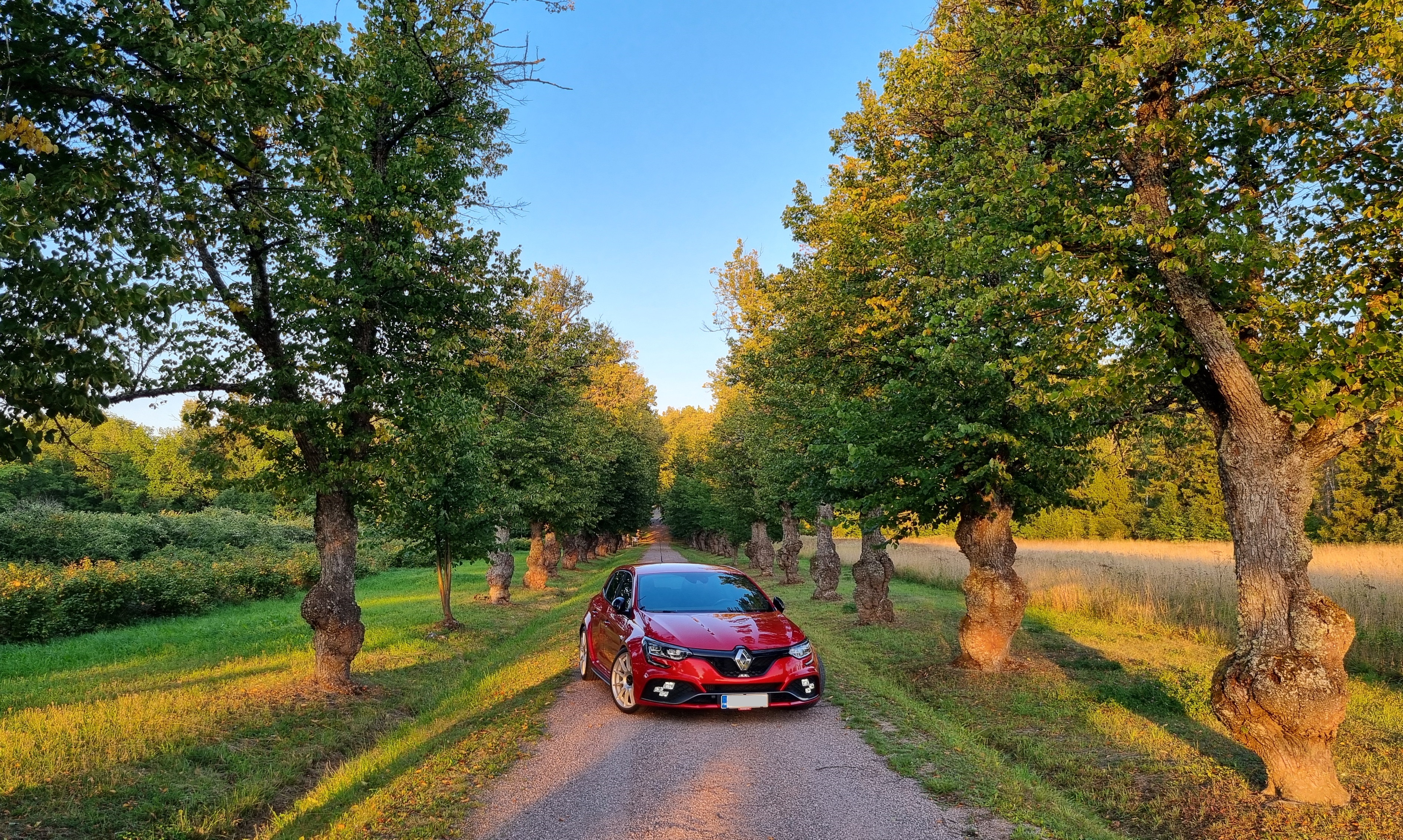 Renault Megane RS 280