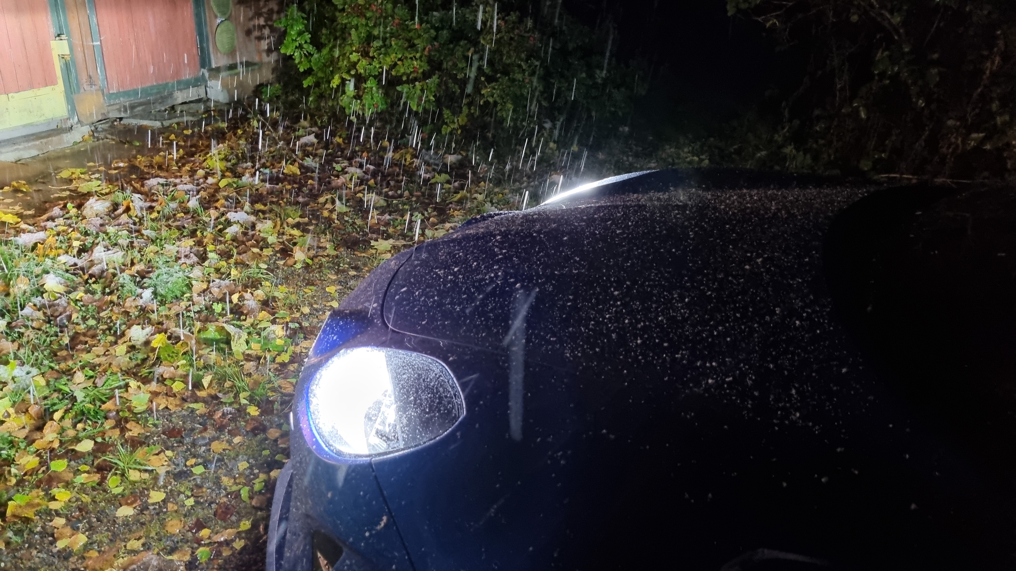 Alpine A110 sleet